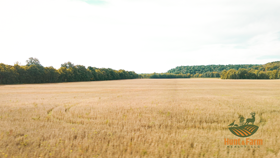 Still 2025-10-28 135545_1.6.1.png